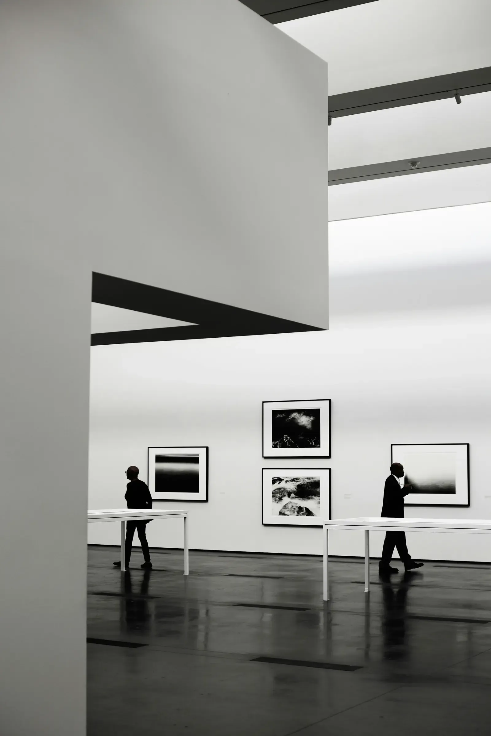 Gallery exhibition space with double-height walls and track lighting