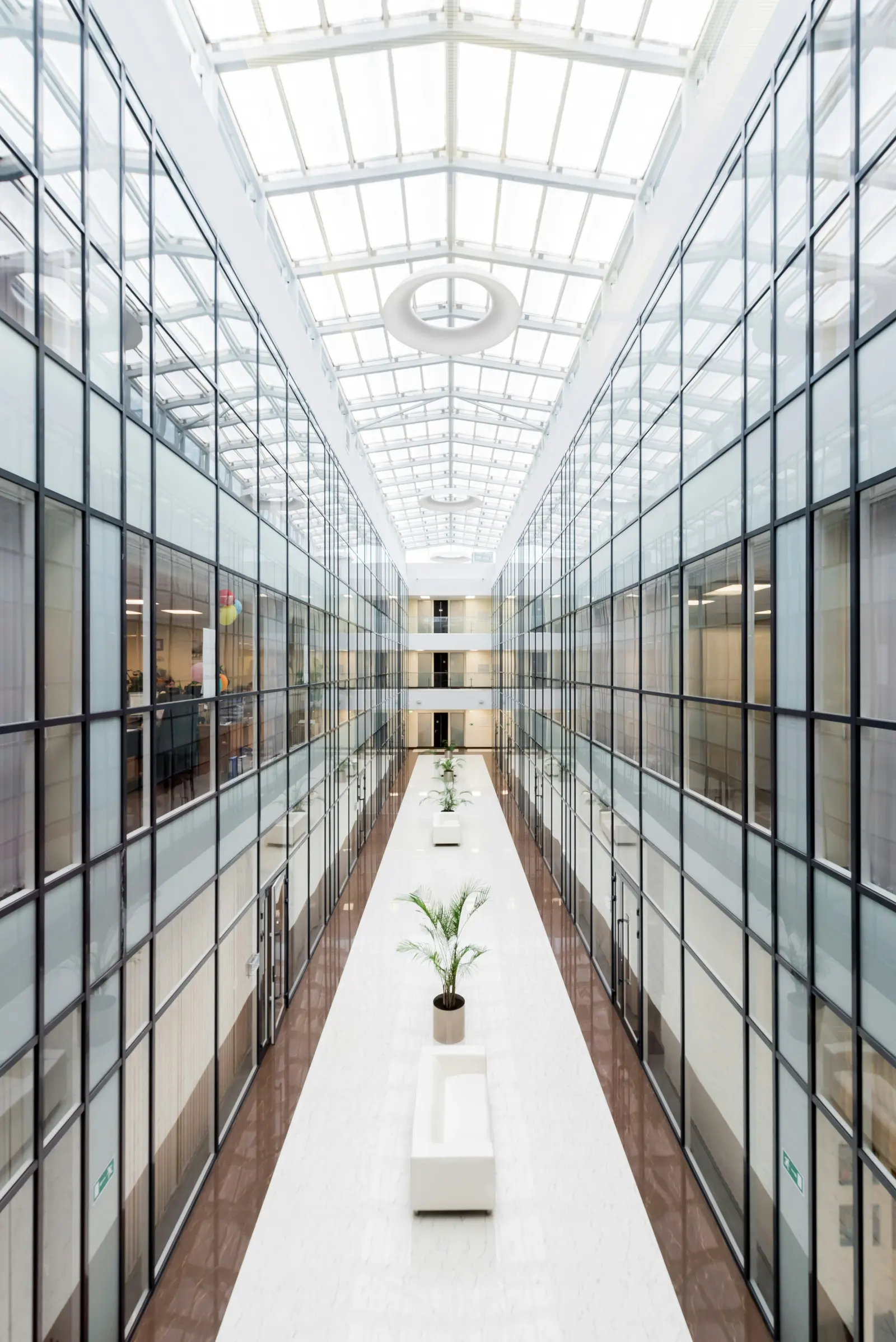 Open-plan office workspace fit-out in the UAE
